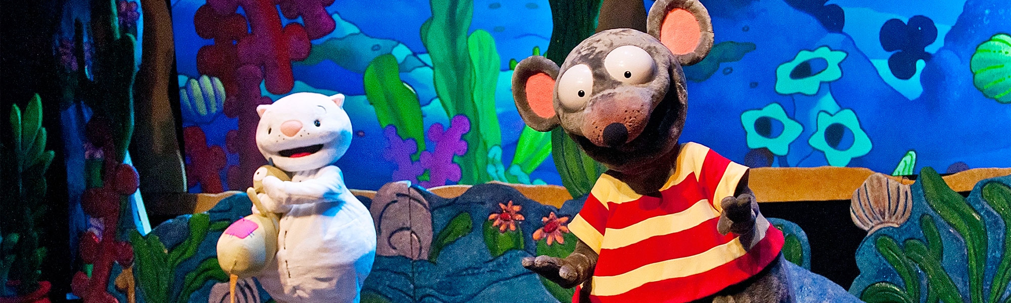 Toopy and Binoo Live!